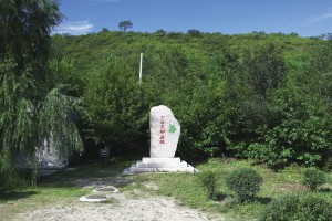 (公益财团)永旺环境财团开展的“万里长城植树”活动历经12年,累计植树100万棵