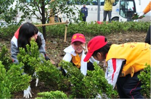 参加植树活动的小学生